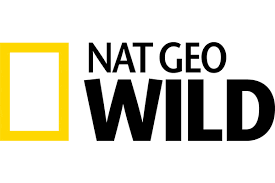 |DSTV| National Geographic WILD